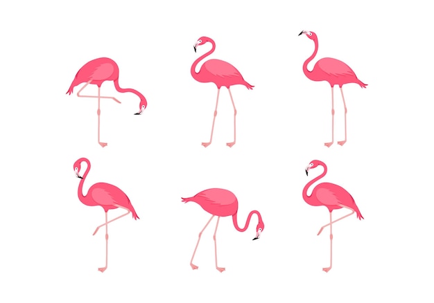 Pink flamingo tropical cartoon bird icon cute summer animal set Zoo vector illustration