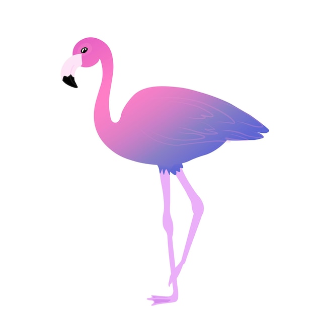 Pink flamingo Vector illustration Sunset gradient Exotic tropical bird character