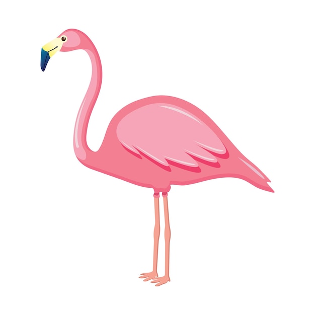 Pink Flamingo Vector Illustration