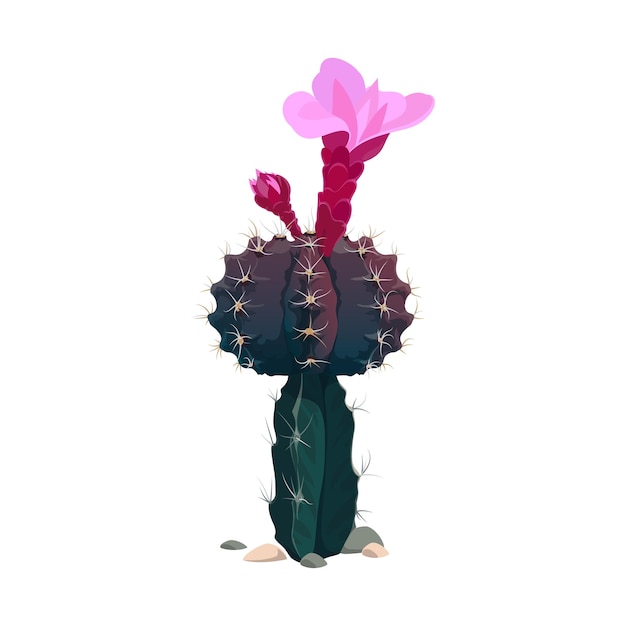 Pink flower blooming on mexican succulent cactus