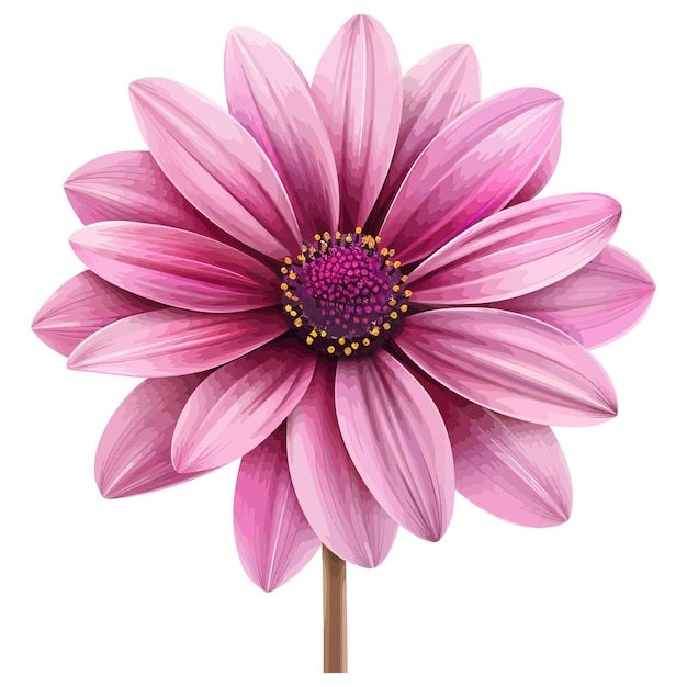 Vector pink flower clipart on white background