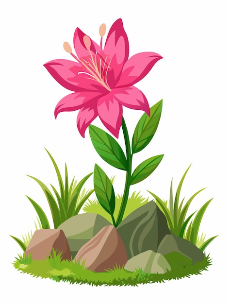 a pink flower in the grass with a picture of a pink flower