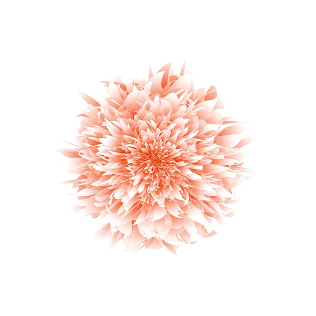 Vector pink flower isolated on white background