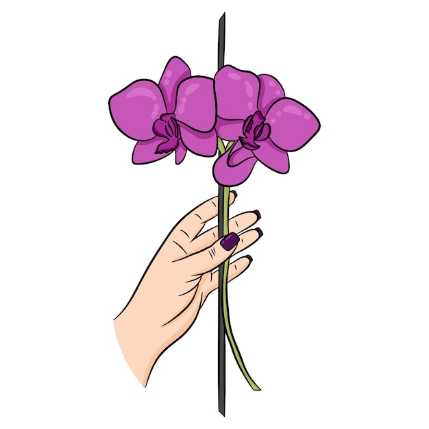 Pink flowering orchid in hand