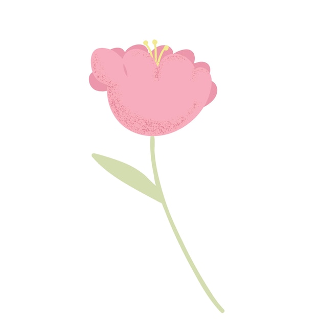 Pink flowers in flat style Peony rose tulip Vector colorful design