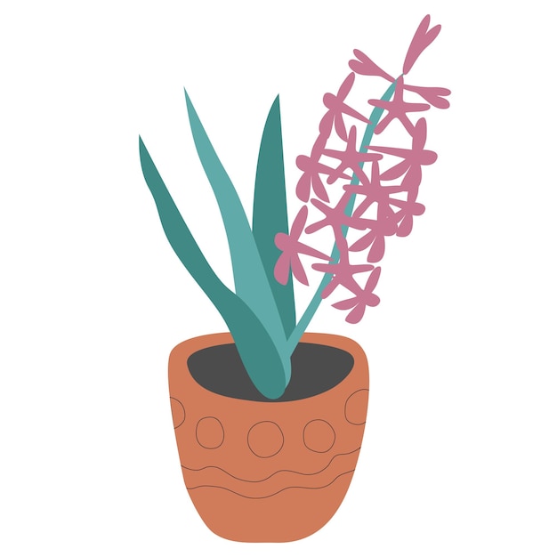 Pink hyacinth in a ceramic pot isolated on white background. Cartoon flat style.