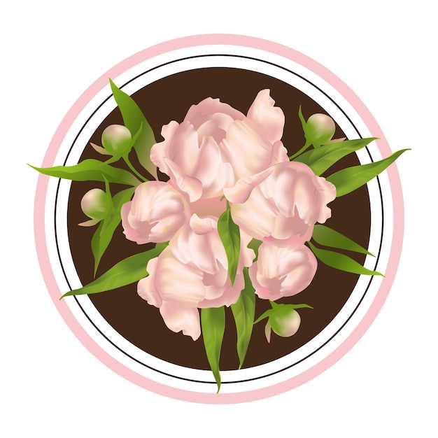 Vector pink peonies vector illustration