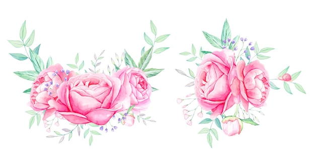 Pink peonies Watercolor compositions of flowers Isolated