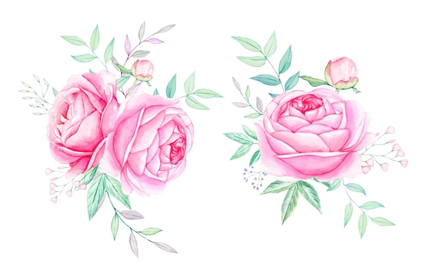 Pink peonies Watercolor compositions of flowers Isolated