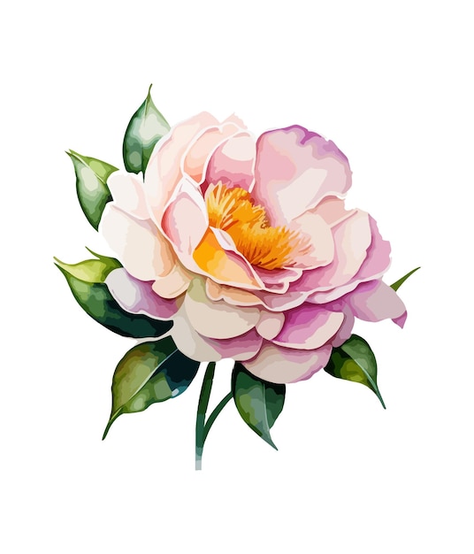 A pink peony flower with green leaves.