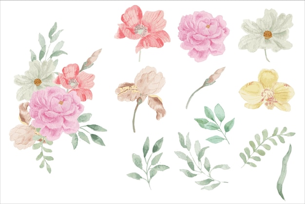 pink peony watercolor flower element