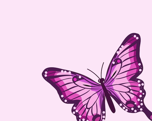 Vector a pink and purple butterfly with a white background