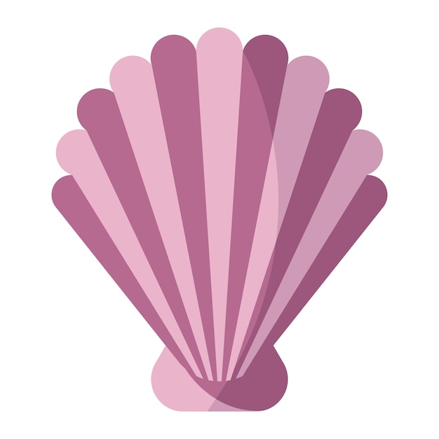 Pink rapana shell