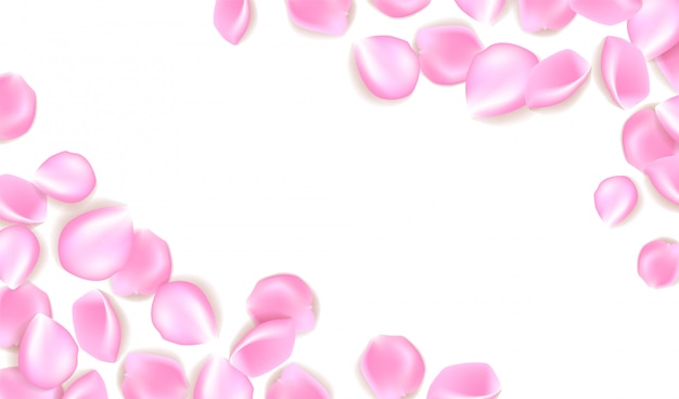 Pink rose petals isolated illustration.