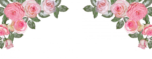 Pink roses bouquet isolated on white background