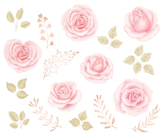 Pink Roses Clip Art, Floral Clip art, Wedding Roses