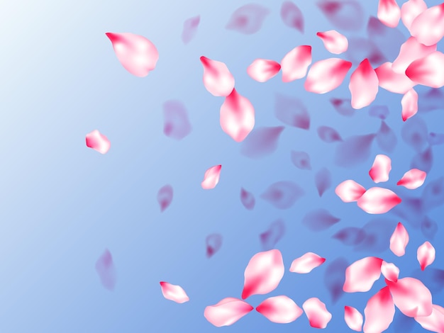 Pink sakura petals confetti flying and falling