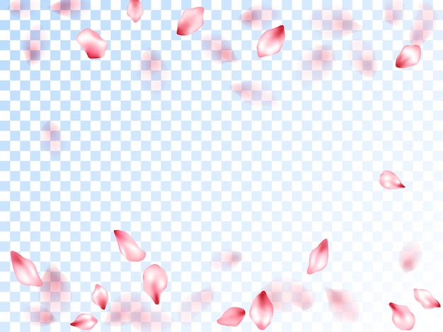 Vector pink sakura petals falling vector graphics