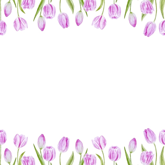 Pink tulips spring flowers seamless frame watercolor hand drawn for invitations, napkins and decor