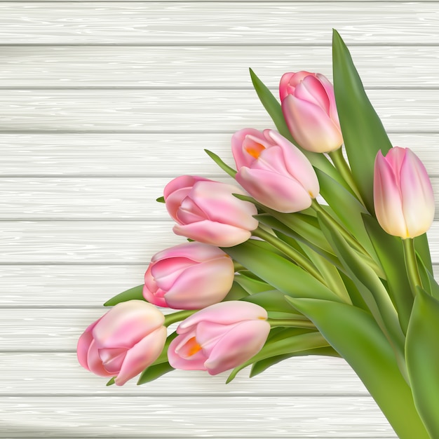 Pink tulips on white wooden background.