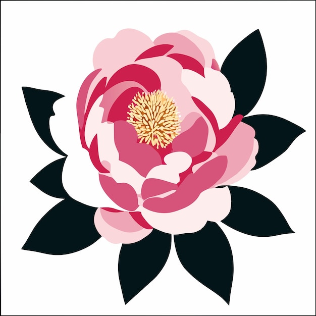 a pink and white flower is shown with a black background