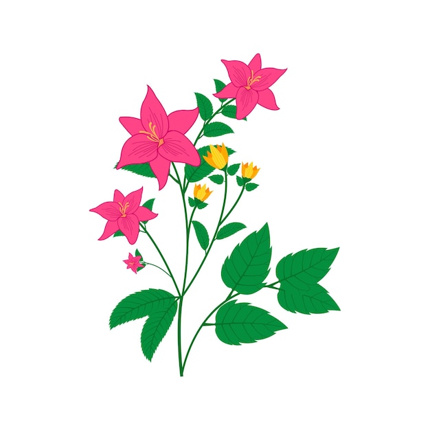 pink Yellow flowers and leaves vector in illustration on white background