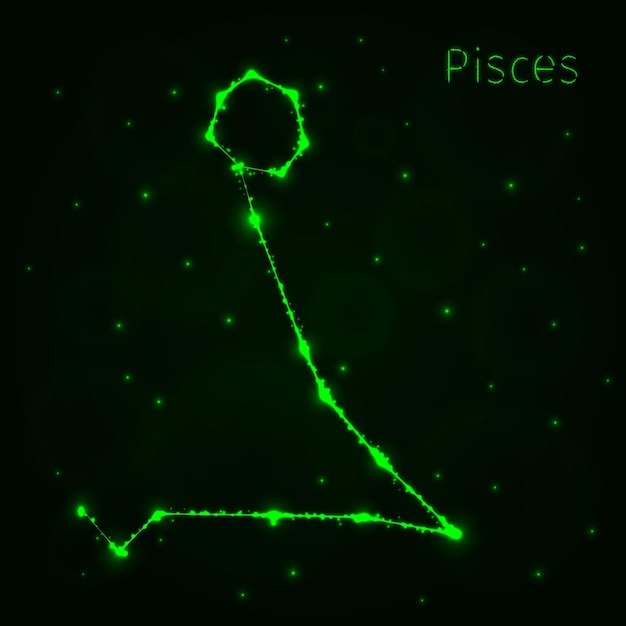 Pisces silhouette of lights