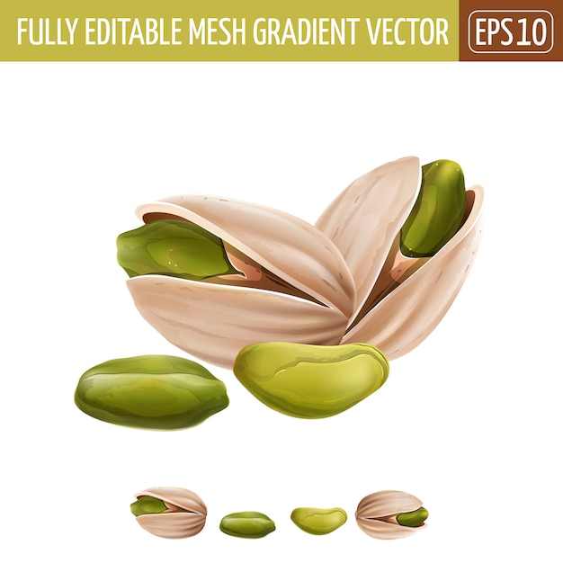 Pistachio nuts illustration on white