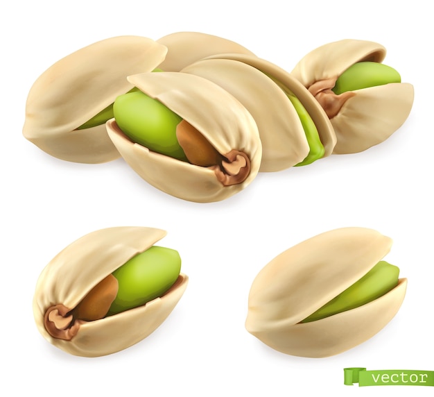 Pistachio nuts realistic illustration