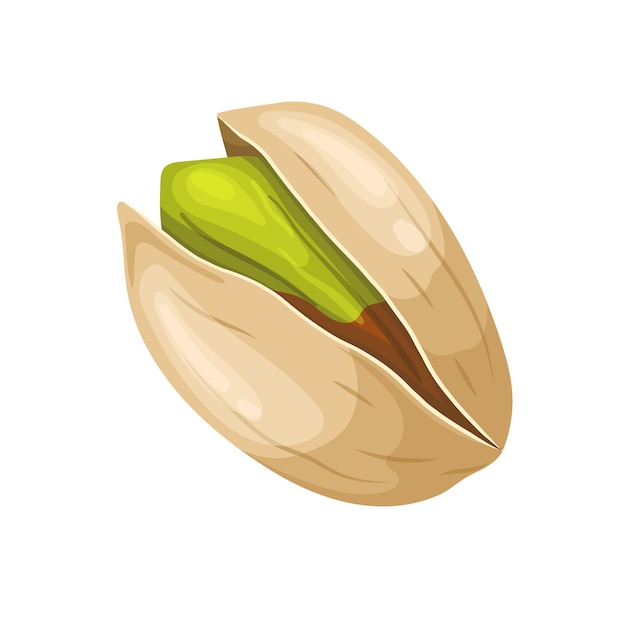 Vector pistachio organic food cartoon vector illustration