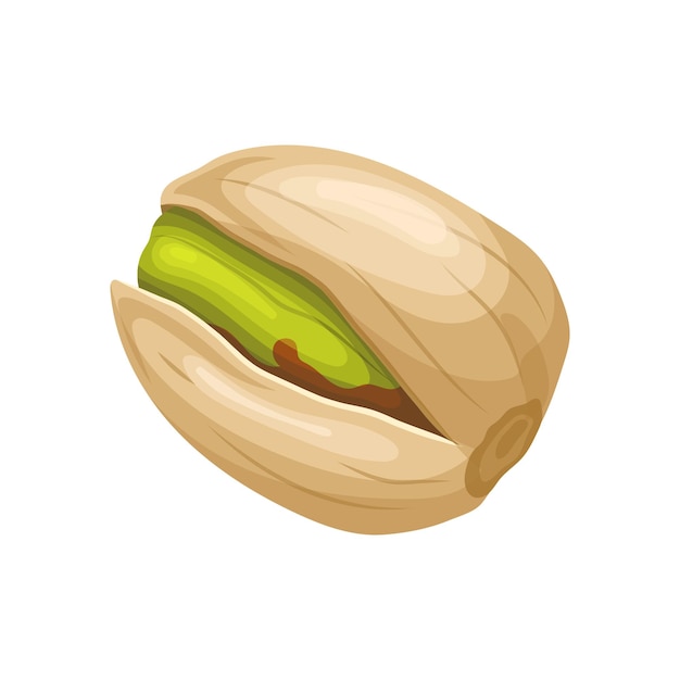 Vector pistachio organic food cartoon vector illustration