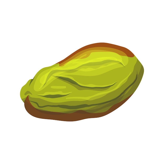 Pistachio organic food cartoon vector illustration