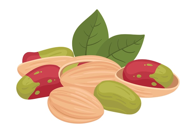 Pistachios handful Cartoon raw pistachio nuts in shell organic tasty nuts snack flat vector illustration Delicious pistachio nuts on white