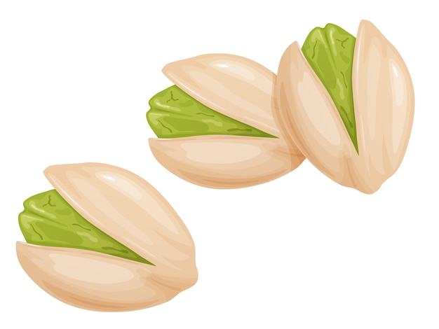 Pistachios Nuts in shell and peeled in cartoon style