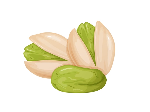 Pistachios Nuts in shell and peeled in cartoon style