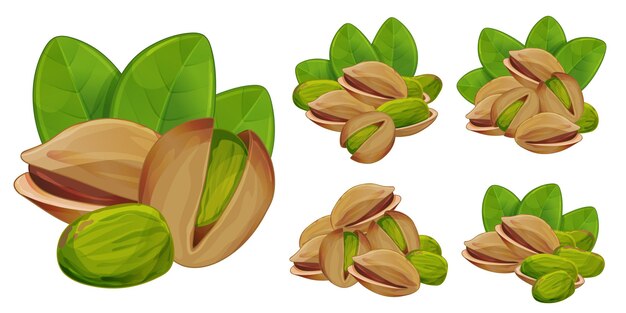 Vector pistachios in shell whole and cracked isolated set on white background