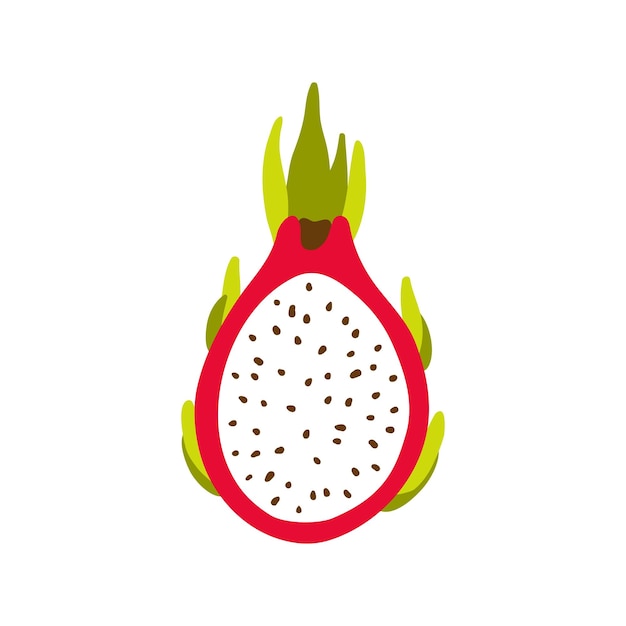 Pitaya cross section, half of ripe exotic asian dragon fruit. Flat vector cartoon illustration isolated on white background.