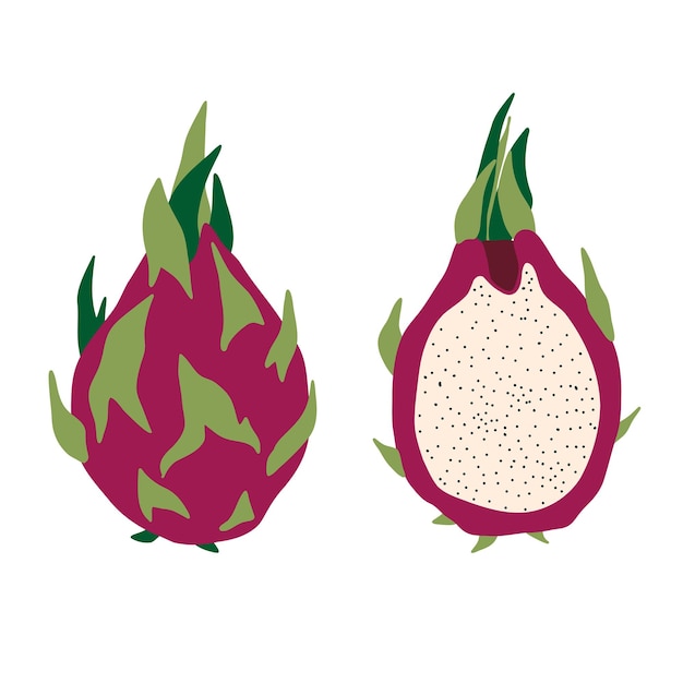 pitaya dragon fruit icon. Cartoon flat pitahaya dragonfruit. Sliced summer tropical exotic fruit.