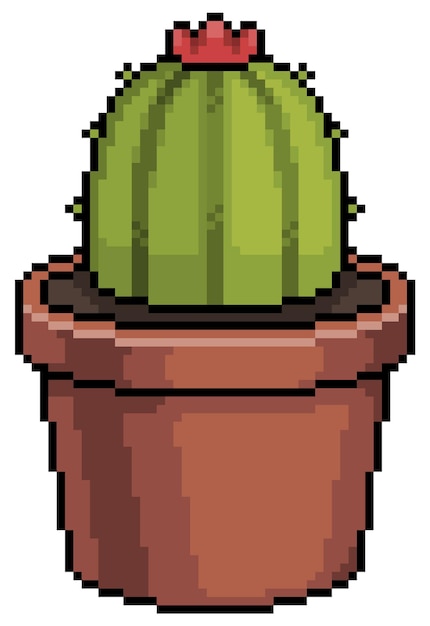 Pixel art succulent cactus in pot bit game item on white background