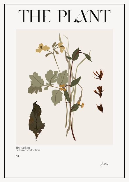 Vector the plant. autumn flower market poster. herbarium