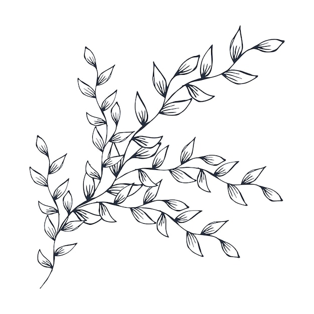 Plant branches drawing vector illustration Isolated image of a stylized plant branch decor