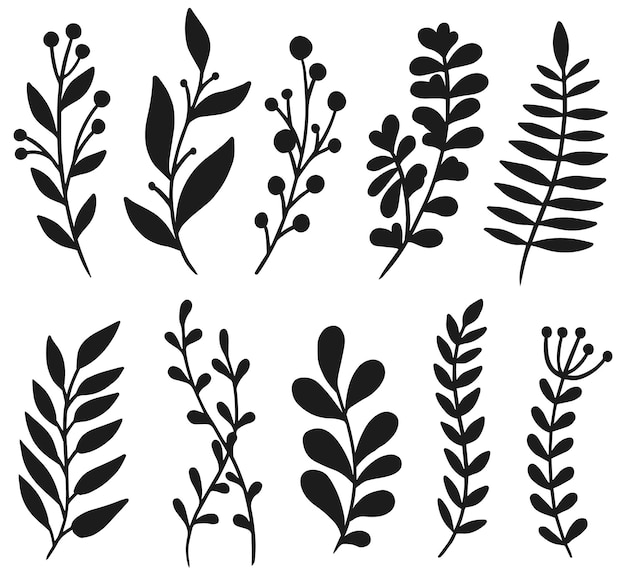 Plant elements organic garden foliage botanical isolated Vector Silhouettes.