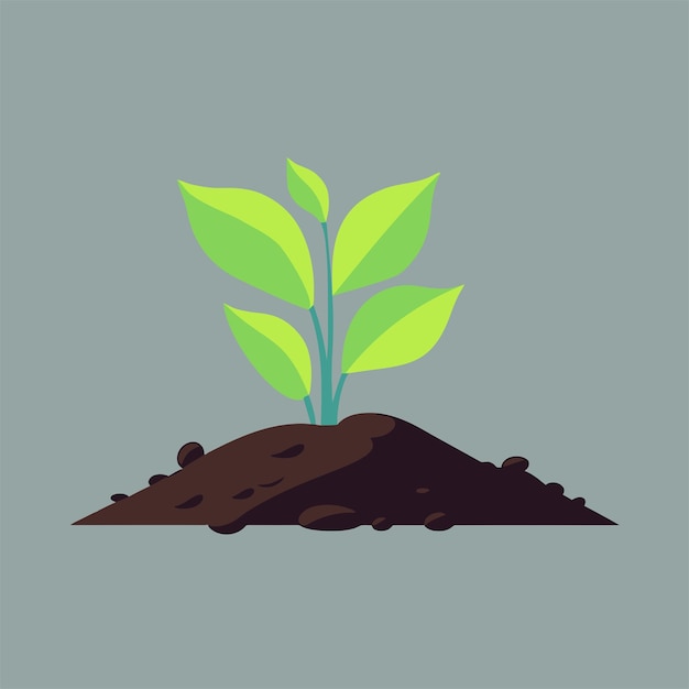 plant growing in the ground vector