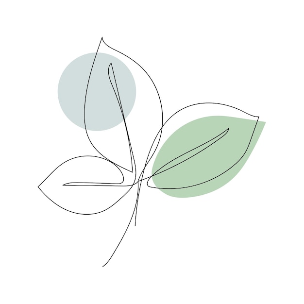 Plant leaves line art. Contour drawing. Minimalism art.