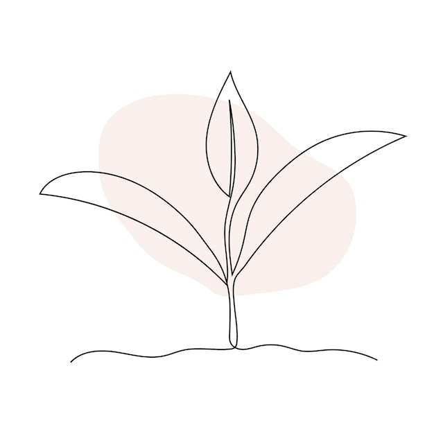 Plant line art. Contour drawing. Minimalism art.