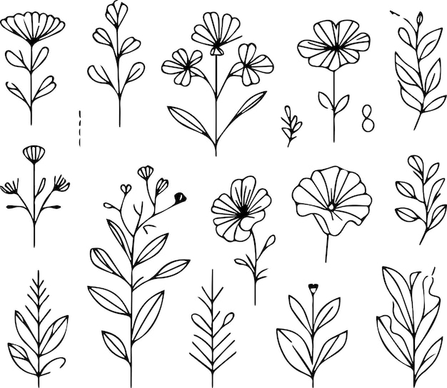 Plant outline drawing vector