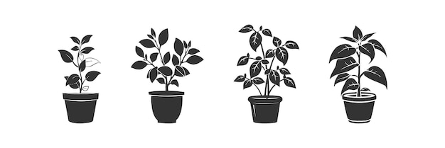 Plant in the pot icon set Vector illustration design