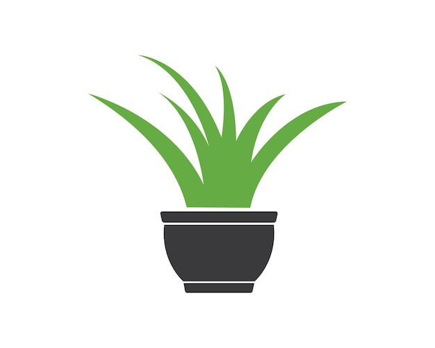 Plant in pot illustration vector template design