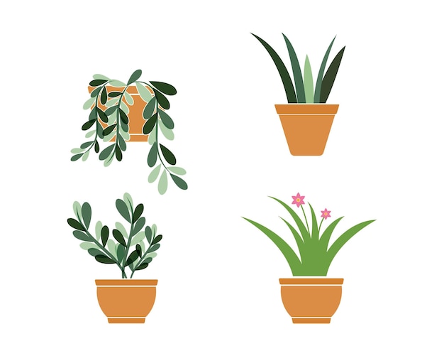 Plant in pot illustration vector template design