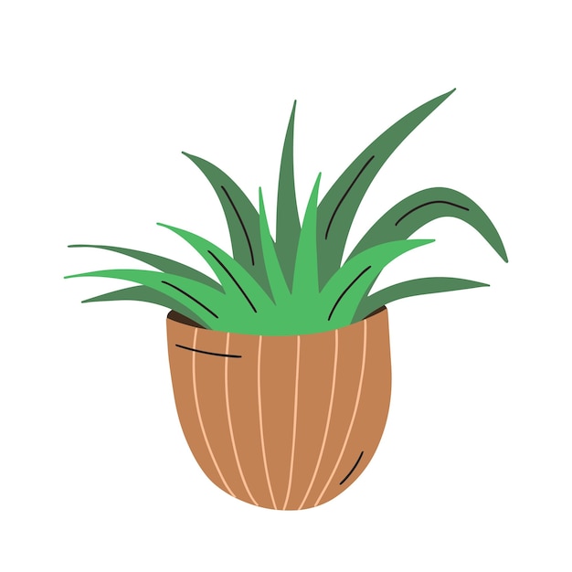 Plant pot. Vector illustration of flower in a pot